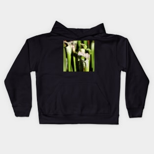 Pitcher Plants Kids Hoodie